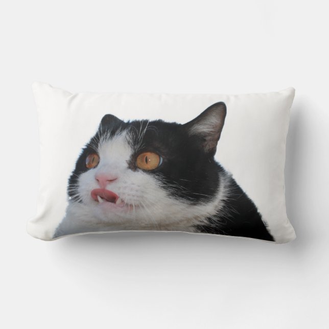 Almofada Lombar Travesseiro do Pokey (Frente)