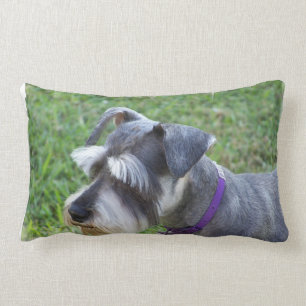 Almofada Lombar Travesseiro do Schnauzer