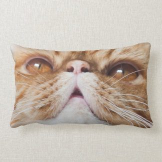 Almofada Lombar travesseiro do sopro