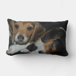 Almofada Lombar Travesseiro dos Beagle Puppies