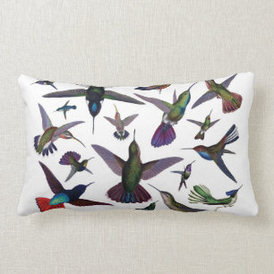 Almofada Lombar Travesseiro dos colibris