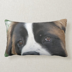 Almofada Lombar Travesseiro dos filhotes de cachorro de St Bernard