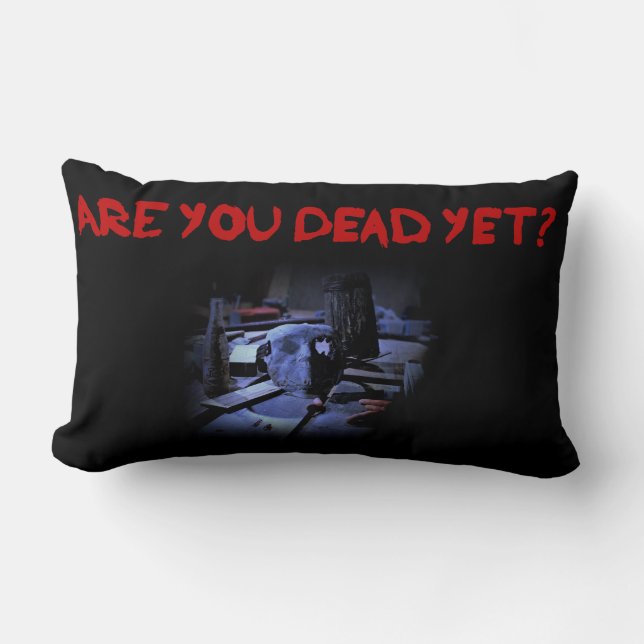 Almofada Lombar Travesseiro lombar AYDY (Frente)