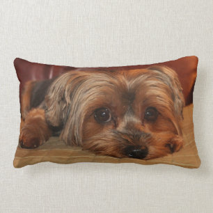 Almofada Lombar Travesseiro lombar do yorkshire terrier