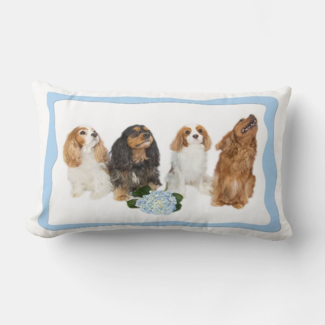Almofada Lombar Travesseiro lombar Quatro Cavalier King Charles Sp (Frente)