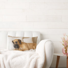 Almofada Lombar Travesseiro Lumbar Cozy Great Dane