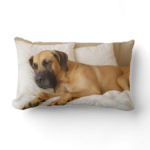 Travesseiro Lumbar Cozy Great Dane