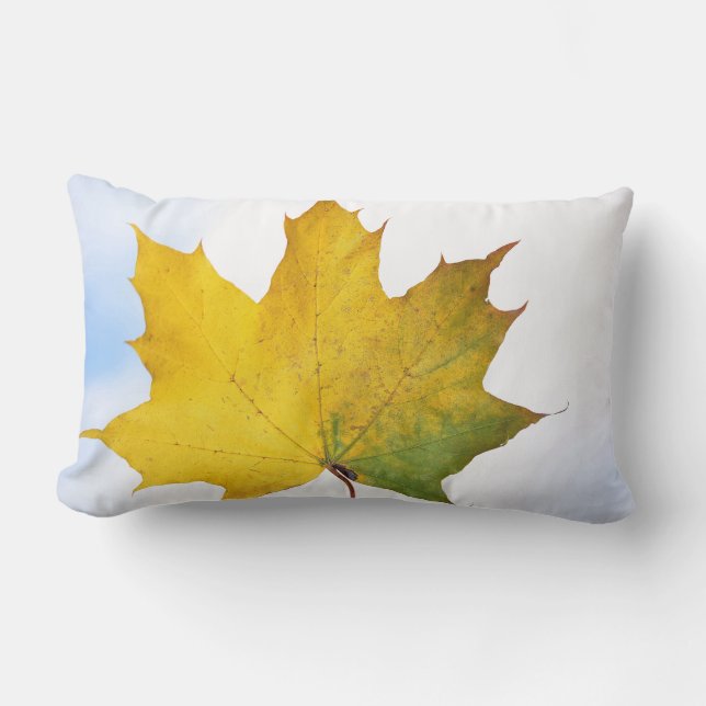 Almofada Lombar Travesseiro para cada sala (Frente)