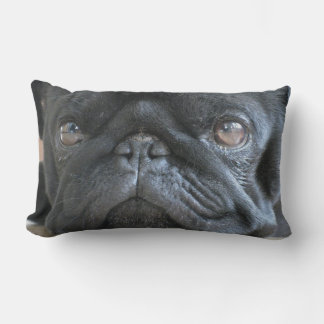Almofada Lombar Travesseiro Pug Personalizado, cachorrinho pug pre
