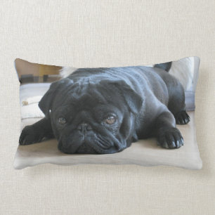 Almofada Lombar Travesseiro Pug Personalizado, cãozinho preto, fo