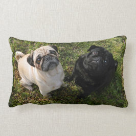 Almofada Lombar Travesseiro Pug Personalizado, Pugs Pretos e Branc