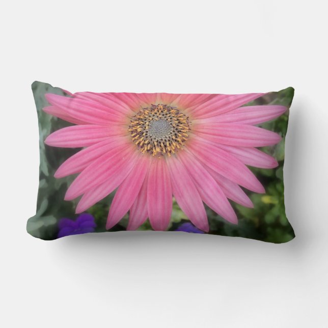 Almofada Lombar Travesseiro rosa Gerbera Daisy Lumbar (Frente)