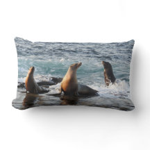Travesseiro selvagem, leão marinho da Califórnia, 
