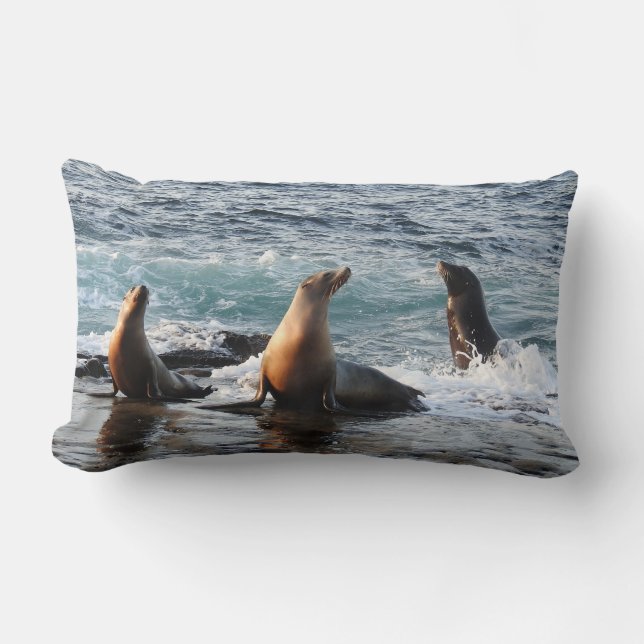 Almofada Lombar Travesseiro selvagem, leão marinho da Califórnia,  (Frente)