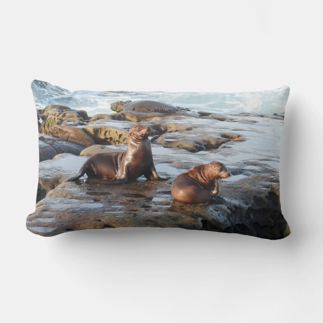 Almofada Lombar Travesseiro selvagem, leões marinhos da Califórnia (Frente)