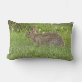 Almofada Lombar Travesseiro: Sensatez da Vida