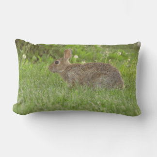 Almofada Lombar Travesseiro: Sensatez da Vida