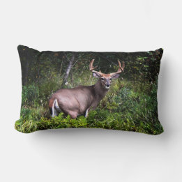 Almofada Lombar Travesseiro Whitetail Buck Lumbar