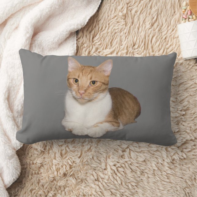 ALMOFADA LOMBAR TRAVESSEIROS BRANCOS E GINGER DE CUDLE CAT (Cobertor)