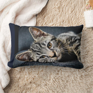 ALMOFADA LOMBAR TRAVESSEIROS DE COTA DE GATO DE GATO