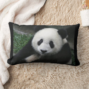 ALMOFADA LOMBAR TRAVESSEIROS PANDA BEAR CUDDDLE