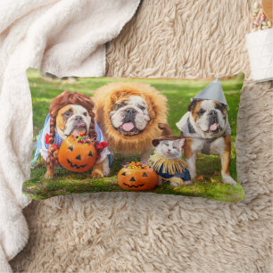 Almofada Lombar Três Bulldogs Vestidos