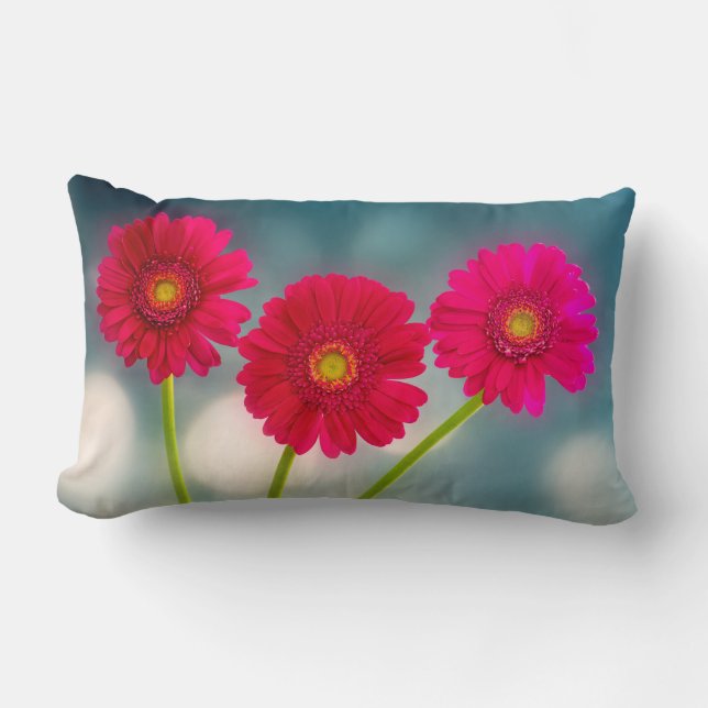 Almofada Lombar Três Gerberas Rosa Quentes em um Cushion de Linha (Frente)