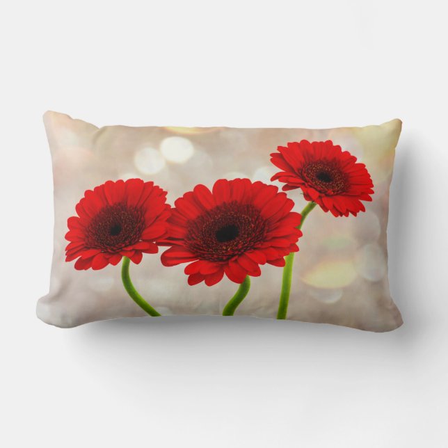 Almofada Lombar Três Pequenos Gerberas Vermelhas (Frente)