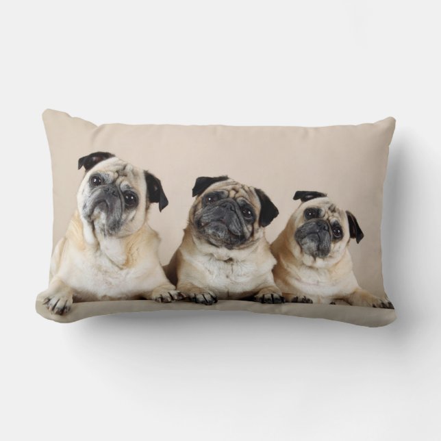 Almofada Lombar Três Pugs Em Uma Linha (Frente)