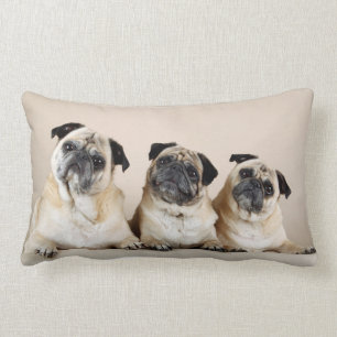 Almofada Lombar Três Pugs Em Uma Linha