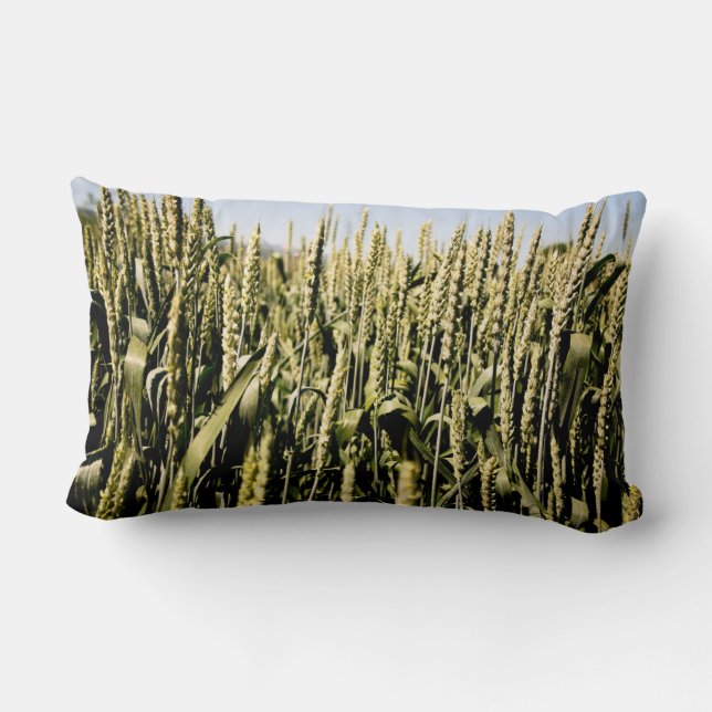 Almofada Lombar Trigo (Verso)