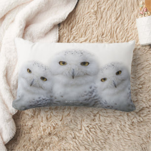 Almofada Lombar Trio Sonho de Corujas de Neve
