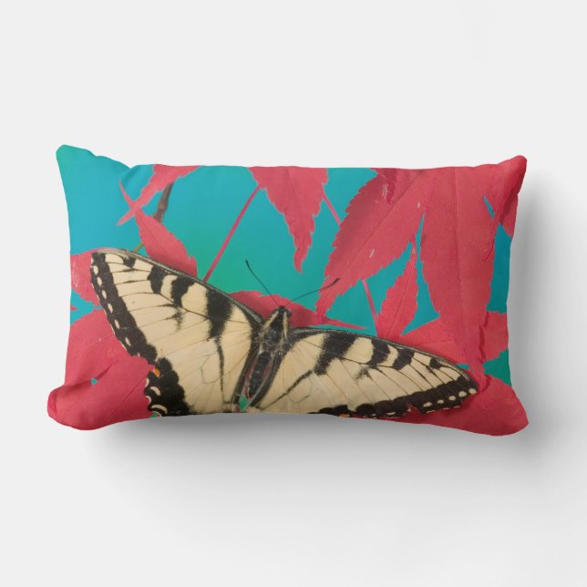 Almofada Lombar Uma Borboleta Canadense Tiger Swallowtail (Frente)