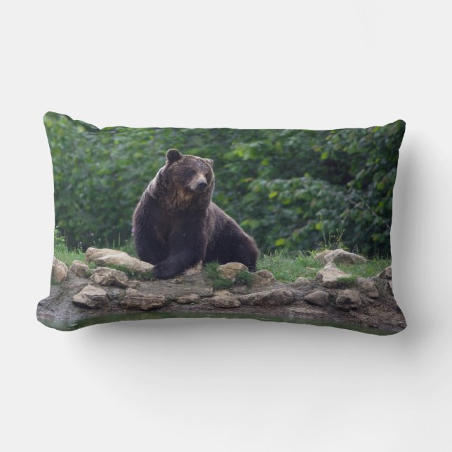 Almofada Lombar Urso de Brown (Frente)