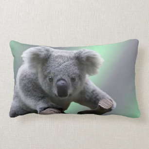 Almofada Lombar Urso de Koala