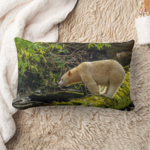 Almofada Lombar Urso Espírito Branco