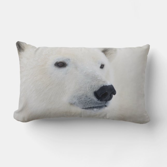 Almofada Lombar Urso Polar Churchill (Frente)