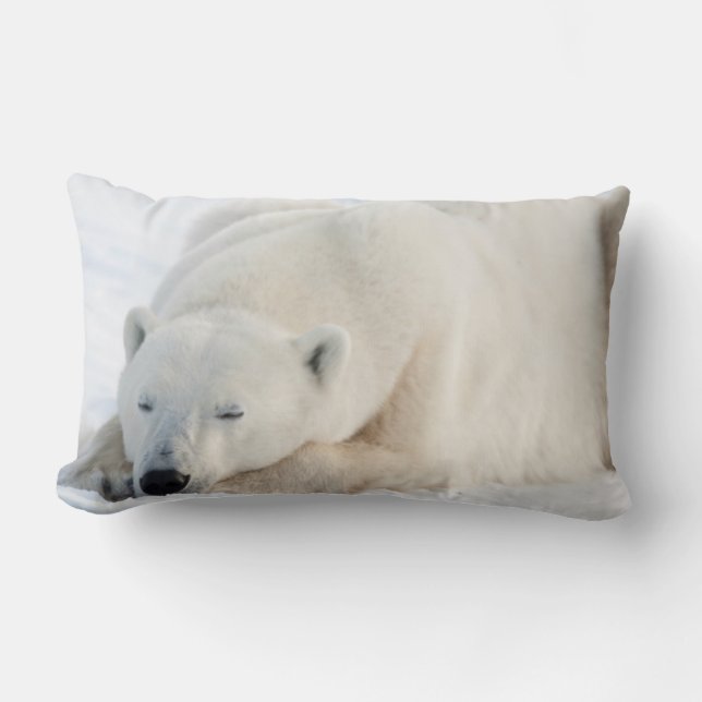 Almofada Lombar Urso Polar no inverno (Frente)