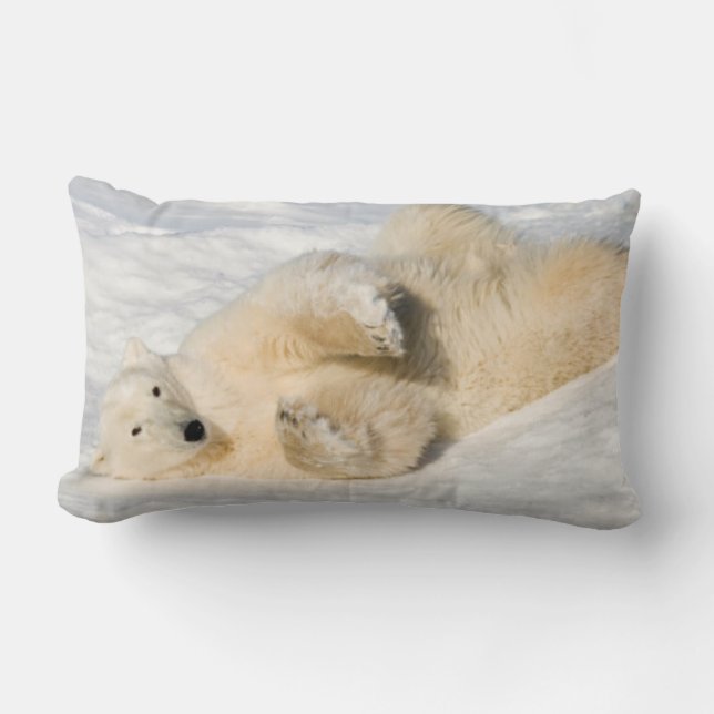 Almofada Lombar Urso Polar perto da Baía de Hudson (Frente)