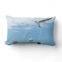 Vazamento Sentado Vísceras Aves Céu Azul