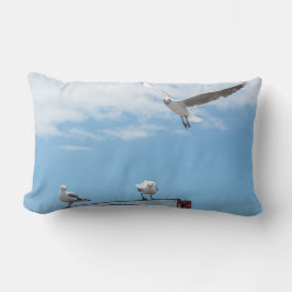 Almofada Lombar Vazamento Sentado Vísceras Aves Céu Azul