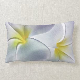 Almofada Lombar Vazio personalizado flor de Havaí do Frangipani d