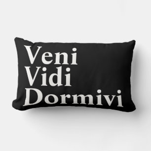 Almofada Lombar Veni Vidi Dormivi Eu vim e vi que dormi