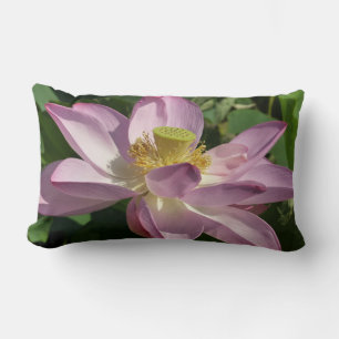 Almofada Lombar Verão cor-de-rosa da flor de Lotus II floral