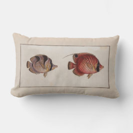 Almofada Lombar Vintage Illustration Butterfly Fish
