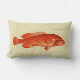 Almofada Lombar Vintage Illustration Fish The Coney