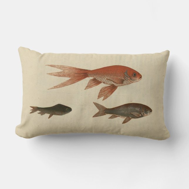 Almofada Lombar Vintage Illustration Goldfish (Frente)