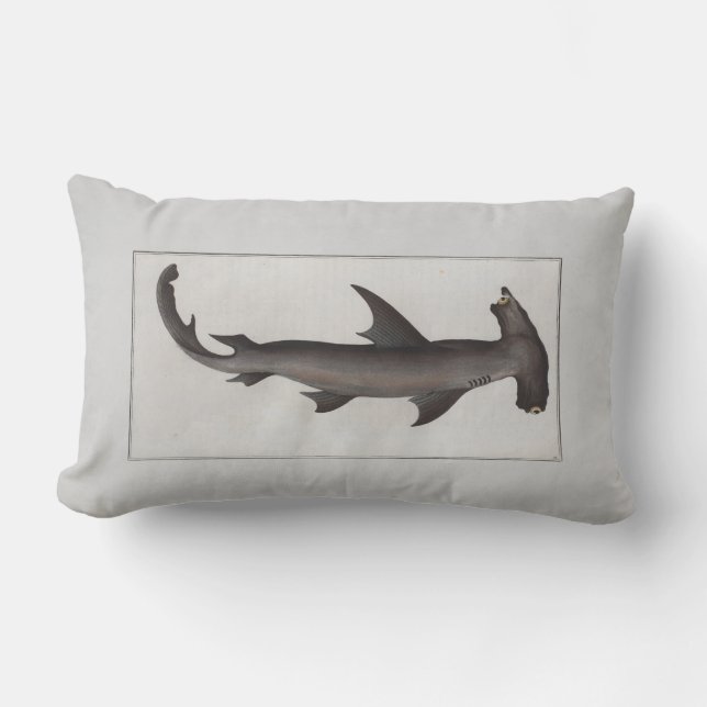 Almofada Lombar Vintage Illustration Hammerhead Shark (Frente)