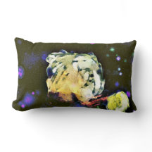 Visitante: Uma Viagem Celestial