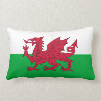 ALMOFADA LOMBAR WALES